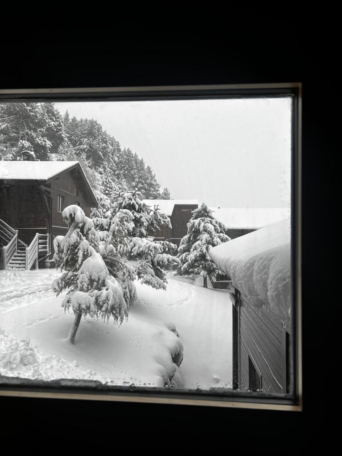 Exclusiva Cabana En Incles - Vistas Al Valle & Pistas De Ski Grandvalira - Free Parking Канило Екстериор снимка
